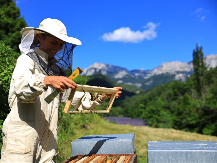 Baptème d'apiculture 3