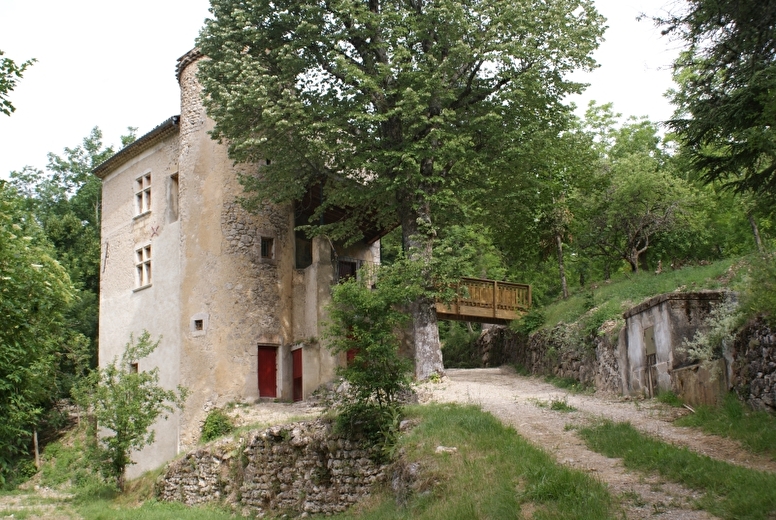 Gîte forestier Grand Viopis