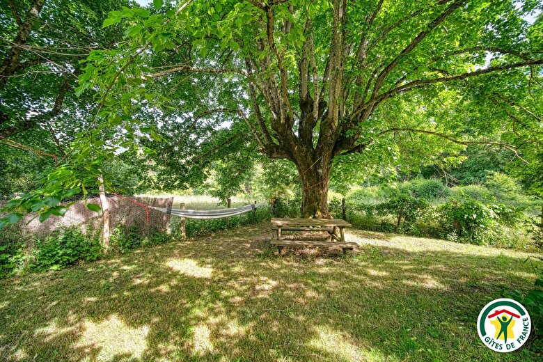 Votre jardin privatif avec son hamac et sa table ombragée sous le grand tilleul pour les chaudes journées d'été