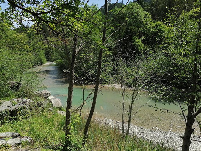 Camping L'Ondine de Provence