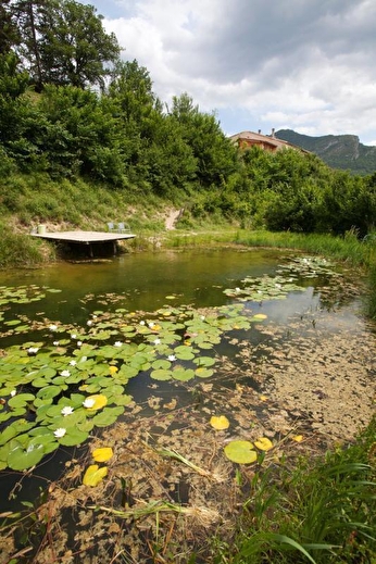 Notre petit étang (300m2), propice à la baignade ou à la contemplation.