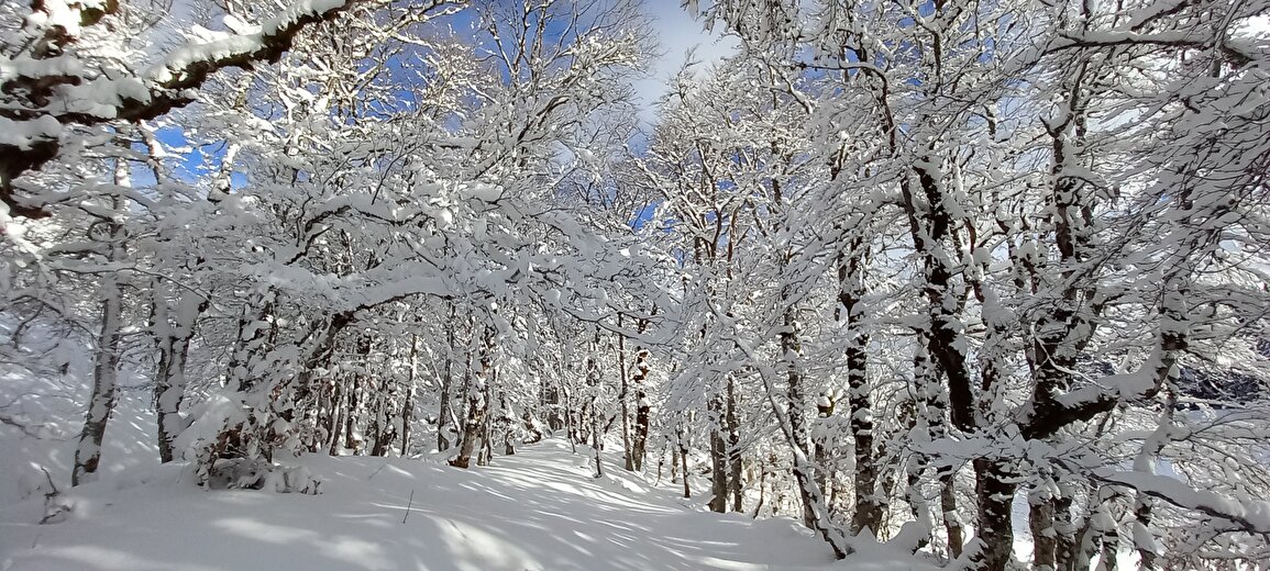 Randos en raquettes avec Christophe Pelet