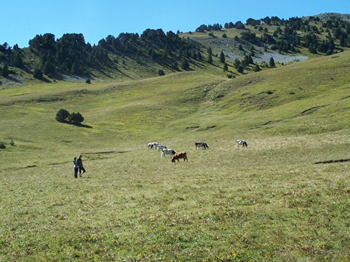 Vallon de Combeau