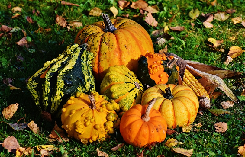 Foire d'Automne