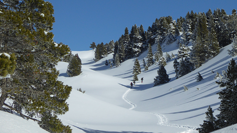 Les doux vallonnements du plateau du Vercors