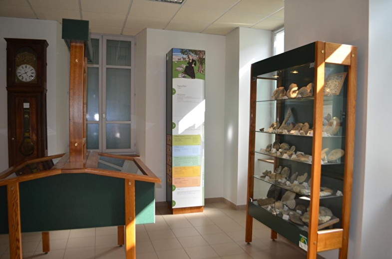 Fossiles de l'Abbé Froment - Exposition