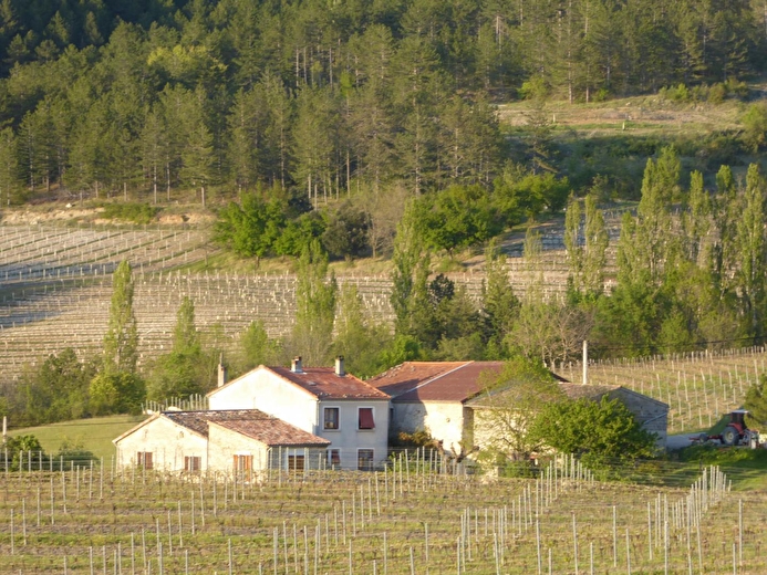 Gîte du Petit Viopis