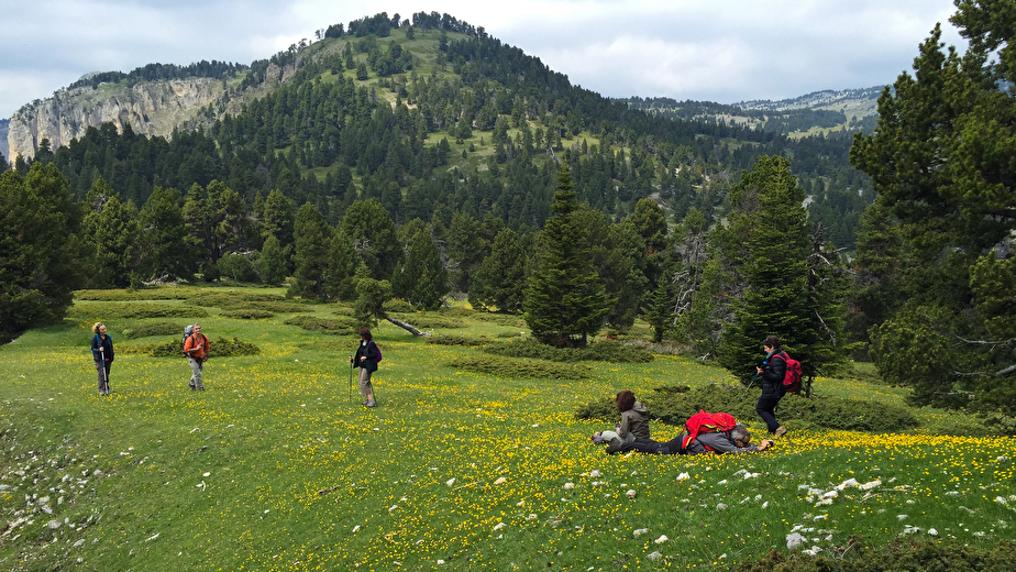 Week-end entre Vercors et Provence