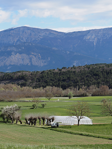 L'Auberge de la Bâtie
