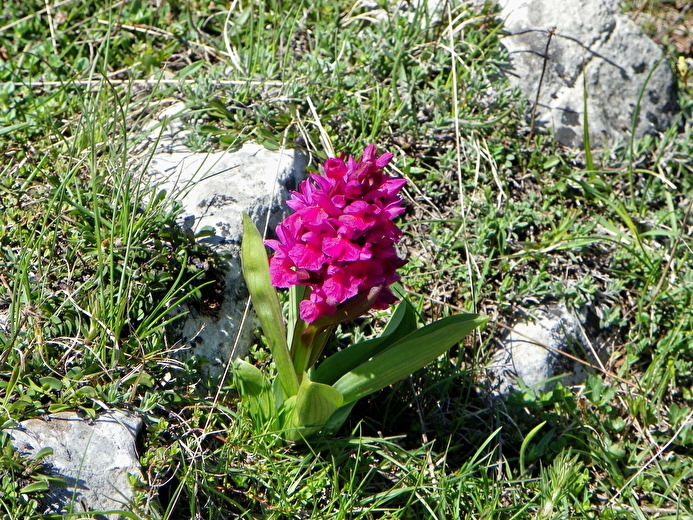 Week-end entre Vercors et Provence