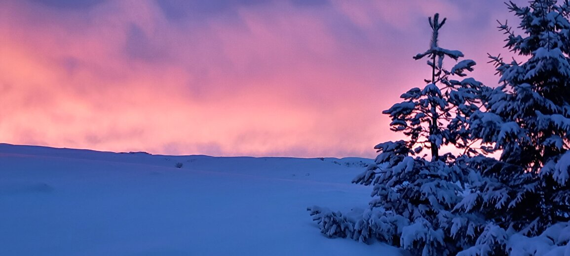 Lune snowshoe hike with Christophe Pelet