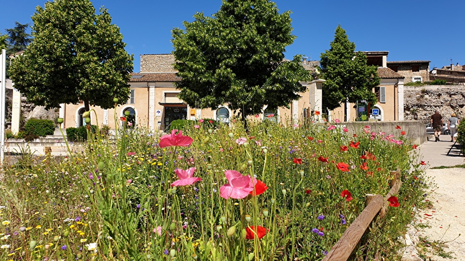 Pays Diois VVV - Die