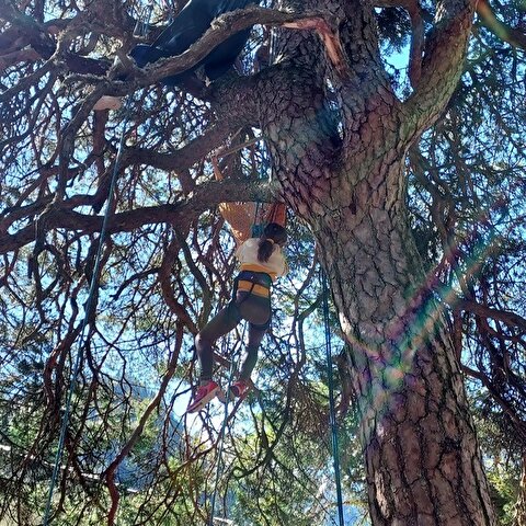 Séjours colonie Couleur Nature - Défi nature et Accrobranche 6 jours