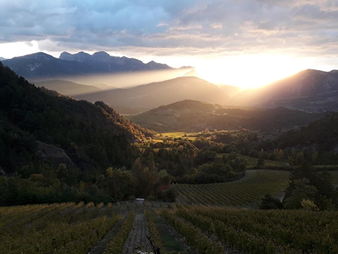 Gîte du Petit Viopis