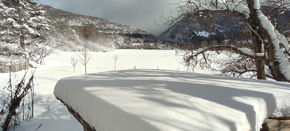 jardin sous la neige