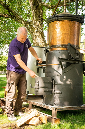 Atelier de Distillation à l'Ancienne de la Lavande au Vercors