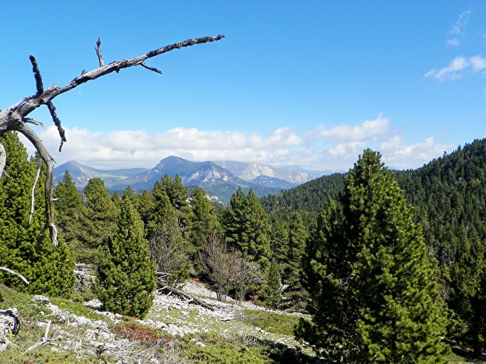 Week-end entre Vercors et Provence