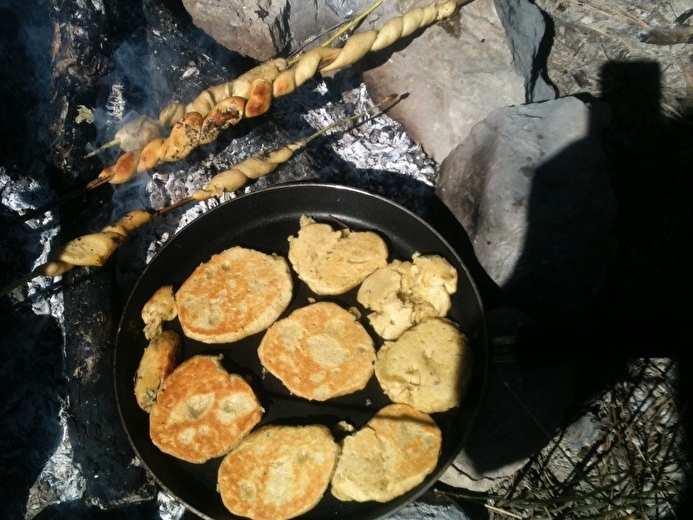 Cuisine plantes comestibles au feu de bois