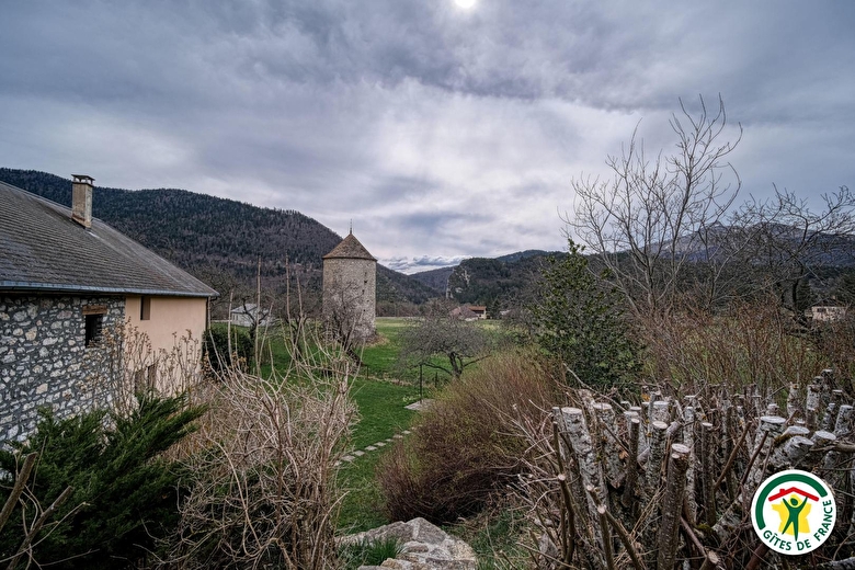 La vue