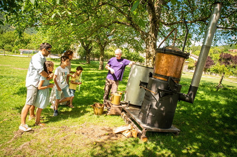 Visite familiale de la distillerie et des vieux alambics