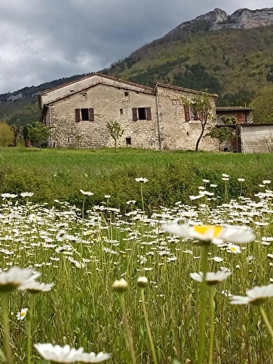 Gîte du Petit Viopis