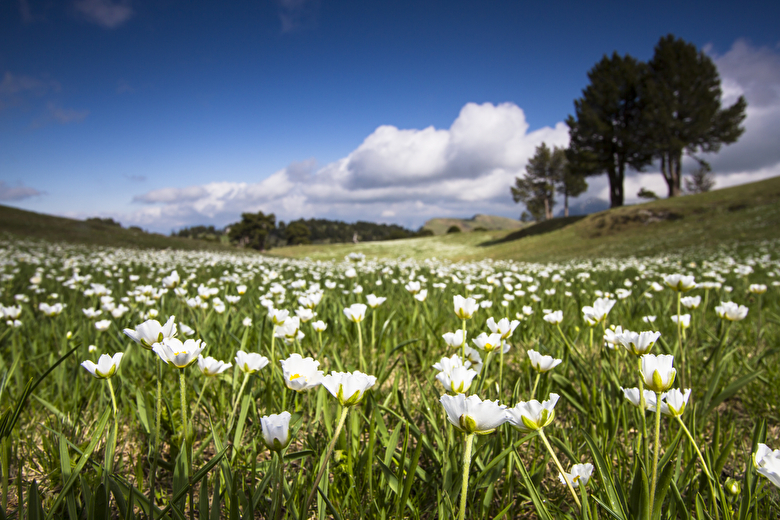 Week-end entre Vercors et Provence