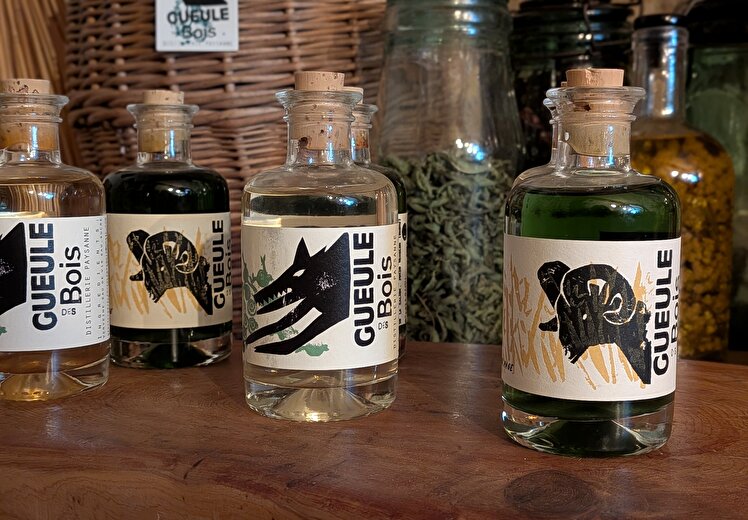 Ferme Distillerie Gueule des Bois