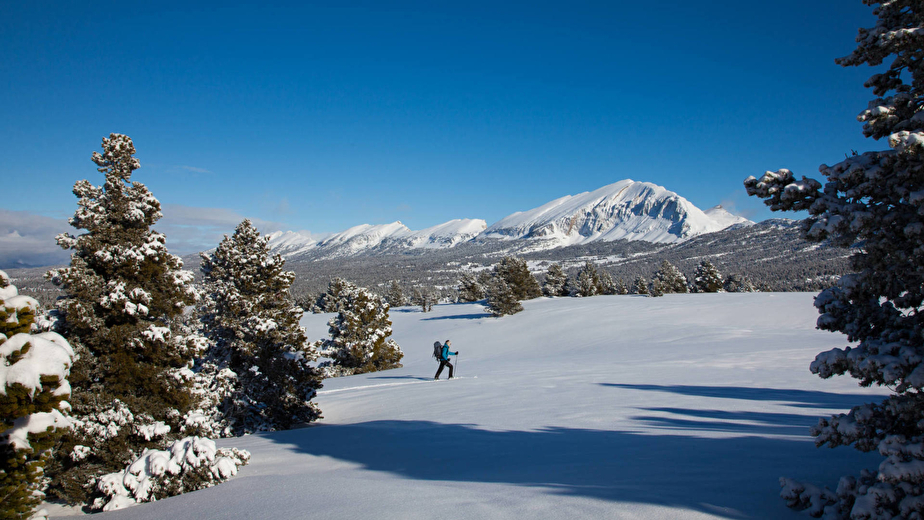 Dans la réserve des Hauts Plateaux du Vercors avec le Grand Veymont