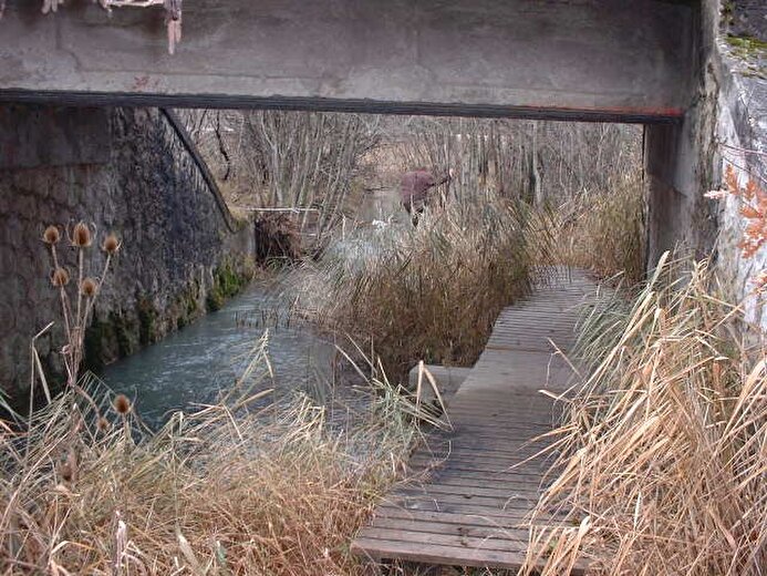 Marais des Bouligons