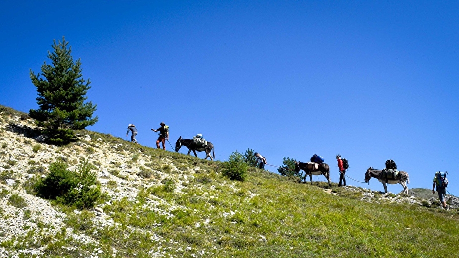 Bureau des accompagnateurs Montagne Drôme Vercors