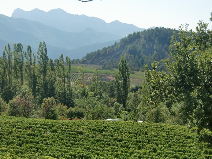 Gîte du Petit Viopis