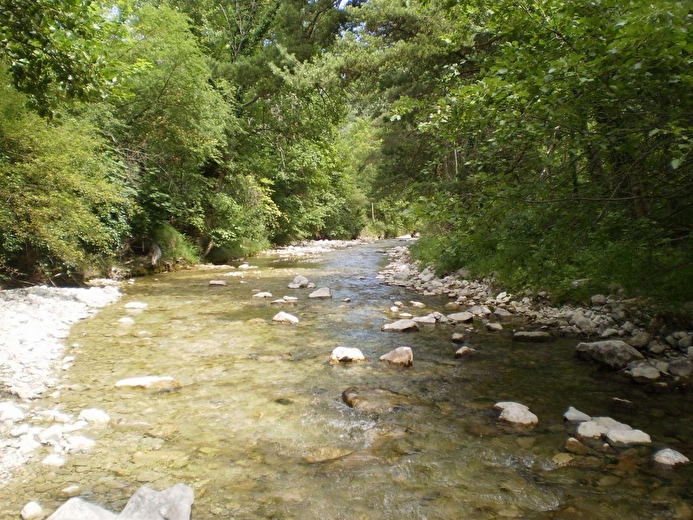 La rivière La Sûre court au pied du domaine. Elle amène fraîcheur et est appréciée des enfants