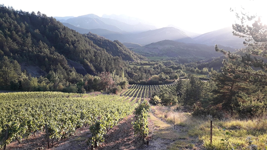 Gîte du Petit Viopis