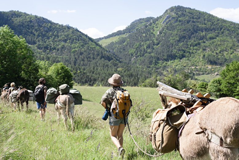 Pack-Saddled Donkey Hire for Walks with Vercors Escapade
