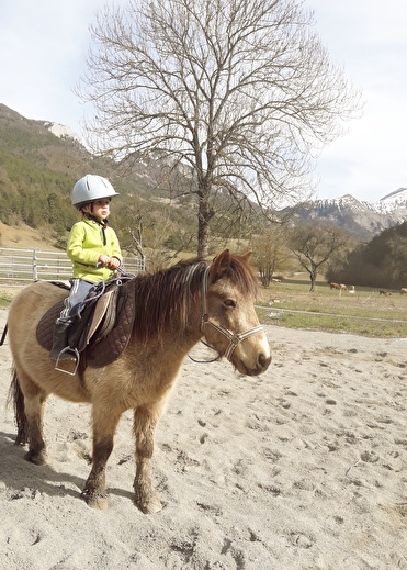 Cours poney dans la carrière