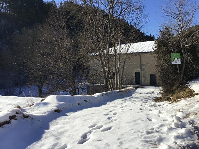 Le soleil, le ciel bleu et la neige sont au rendez-vous pour des balades réussies