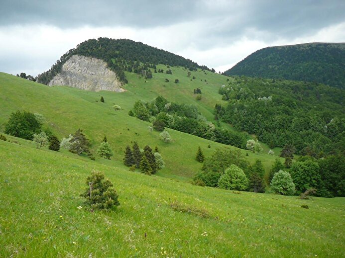 Vallon de Combeau