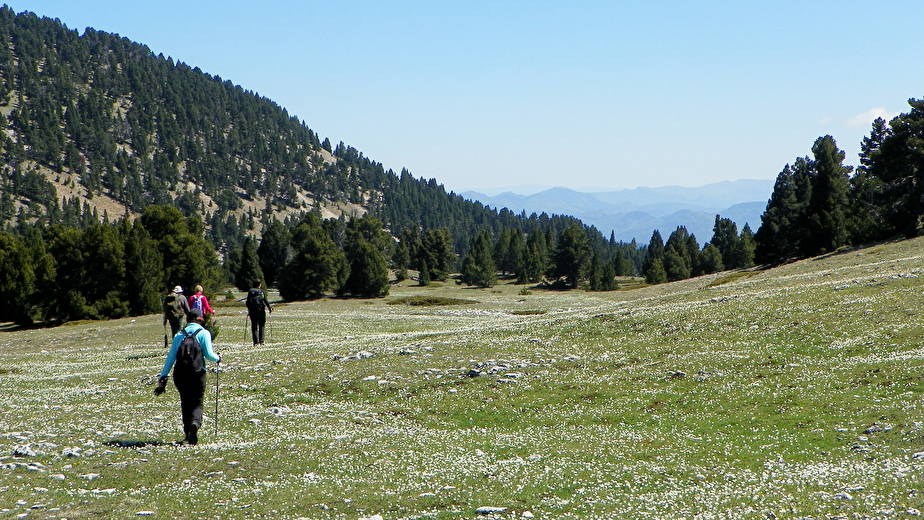 Week-end entre Vercors et Provence