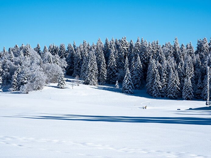La plaine d'Herbouilly