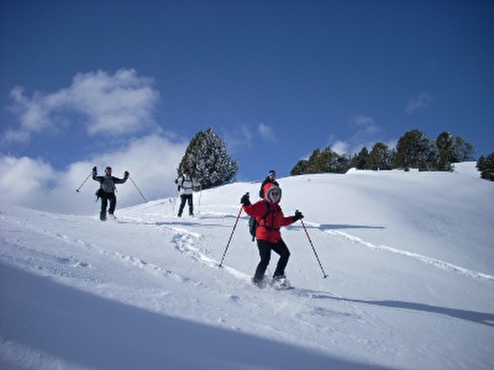 Vercortica, expédition hivernale sur les hauts plateaux du Vercors