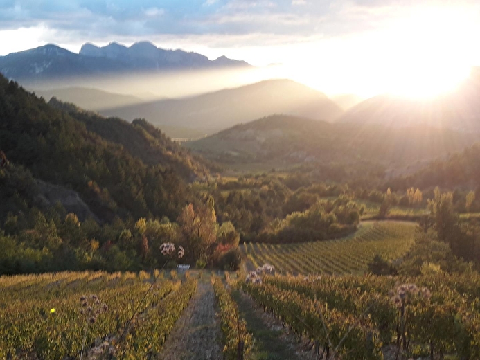 Gîte du Petit Viopis