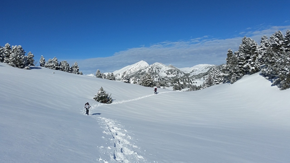 Bureau des accompagnateurs Montagne Drôme Vercors