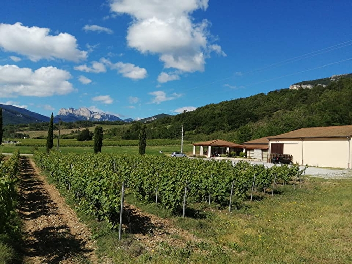 Cave Poulet et Fils (winery)