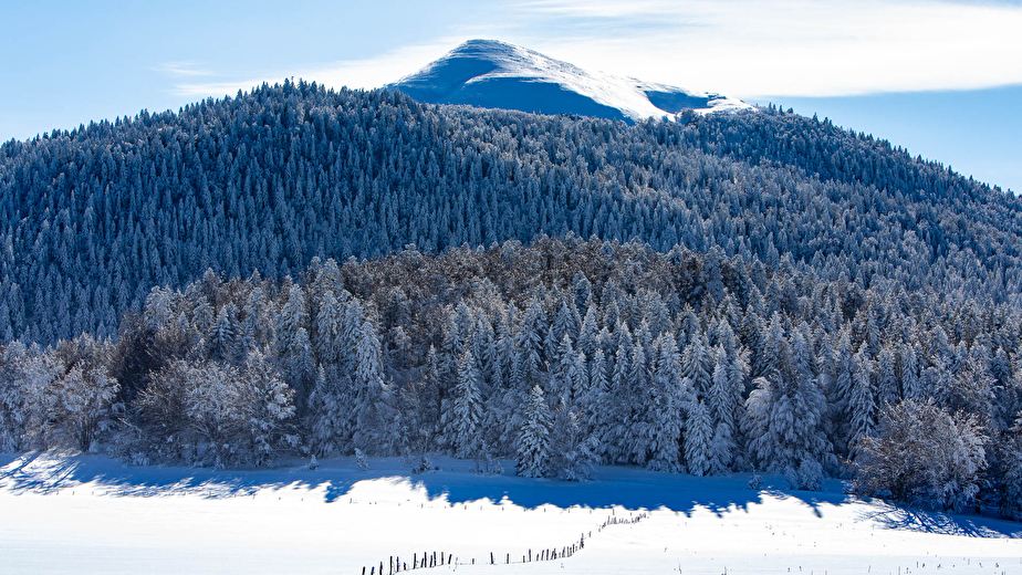 Montagne et forêt de Lente dans le Vercors La Montagne et forêt de Lente