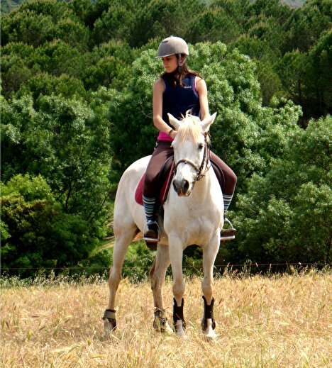 Séjour équitation IDDJ