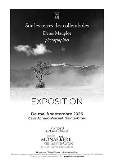 Exposition - Sur les terres des collemboles