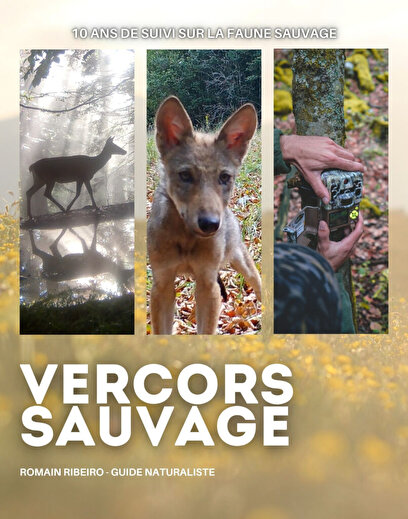 Projection animée - Vercors sauvage