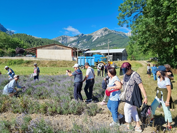 Visite Guidée enrichie - Distillerie des 4 Vallées