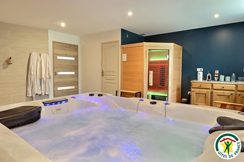 Espace bien-être doté d'un sauna et d'un spa (en option 25?/pers/1h)