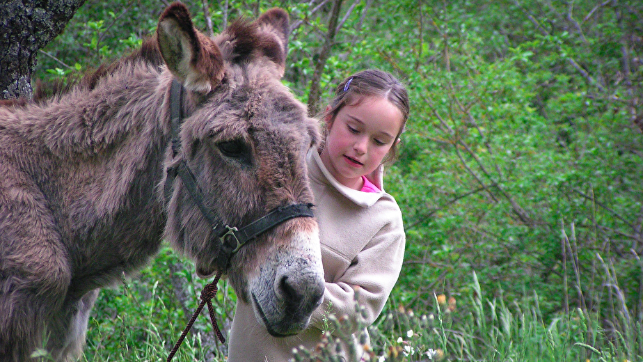De crêtes en plateaux avec des ânes